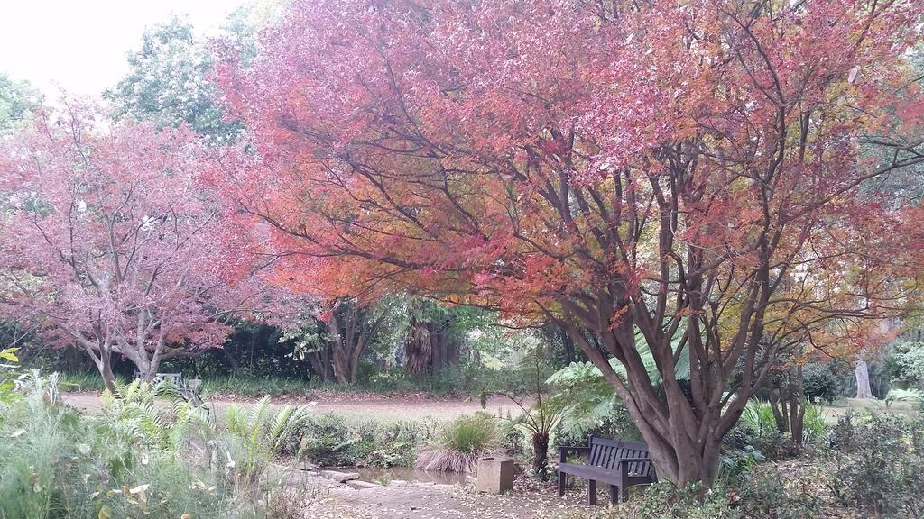 Babbling Brook Bed & Breakfast Pietermaritzburg Extérieur photo