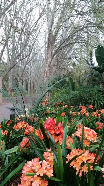 Babbling Brook Bed & Breakfast Pietermaritzburg Extérieur photo