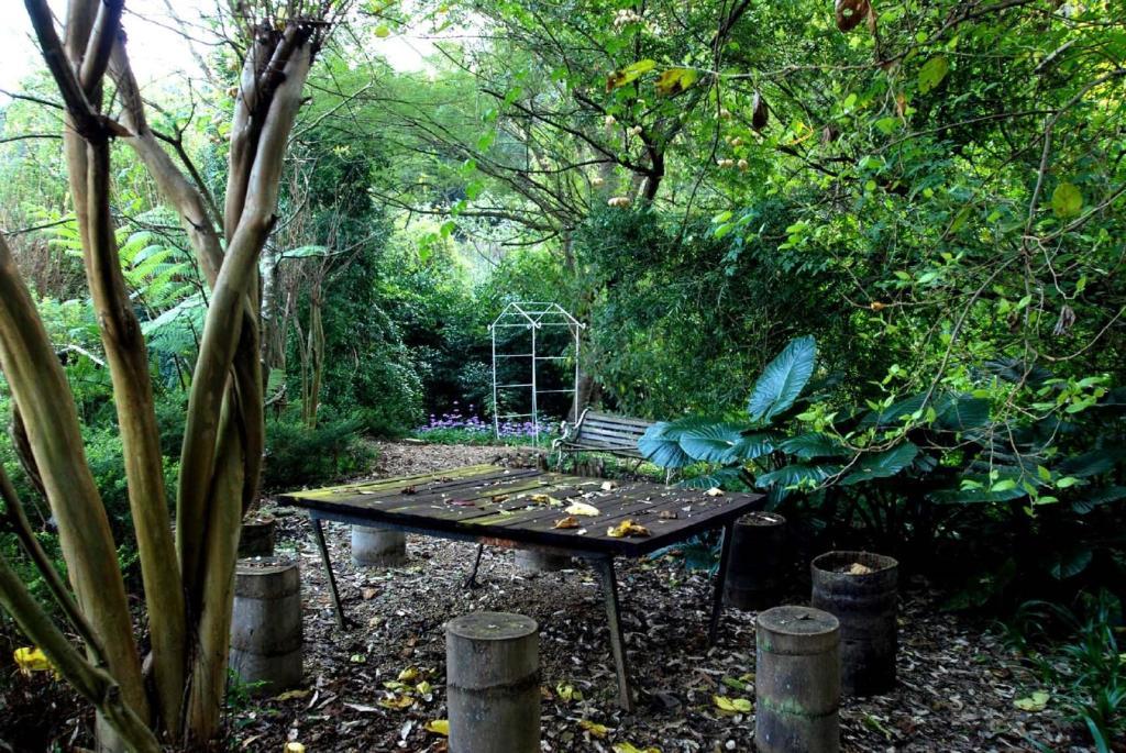 Babbling Brook Bed & Breakfast Pietermaritzburg Extérieur photo