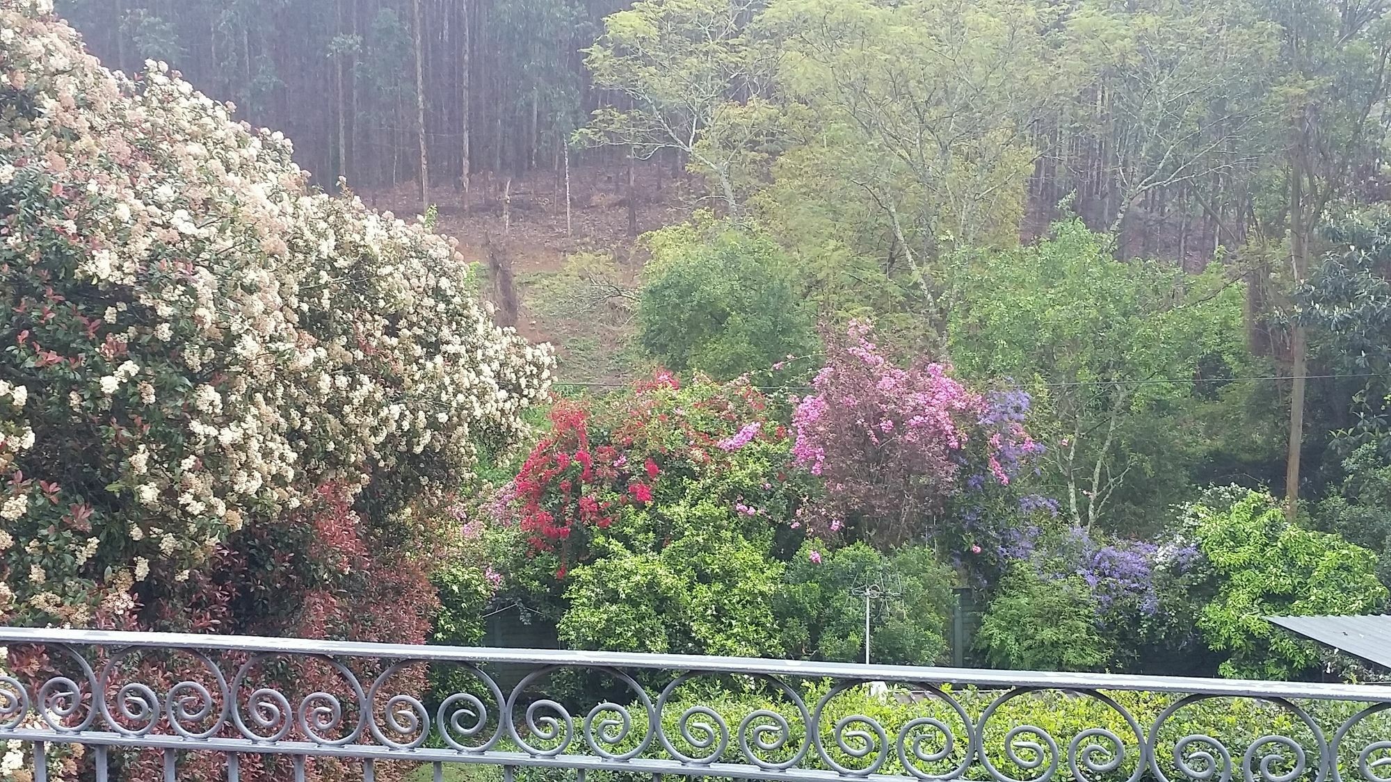 Babbling Brook Bed & Breakfast Pietermaritzburg Extérieur photo