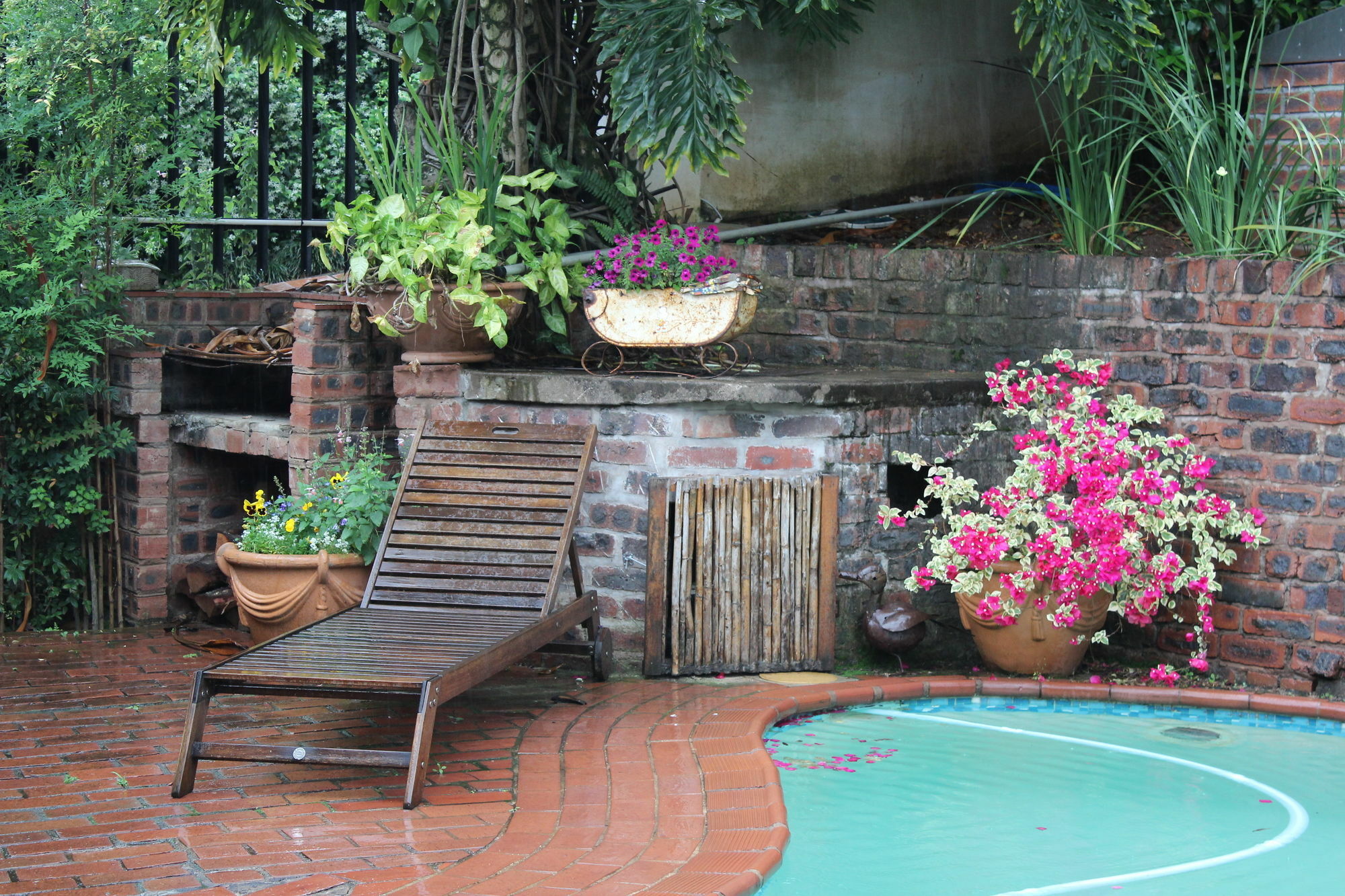 Babbling Brook Bed & Breakfast Pietermaritzburg Extérieur photo
