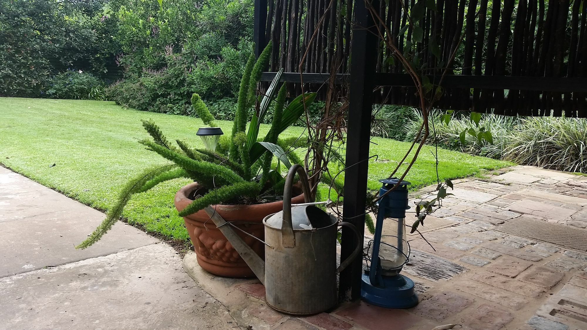 Babbling Brook Bed & Breakfast Pietermaritzburg Extérieur photo